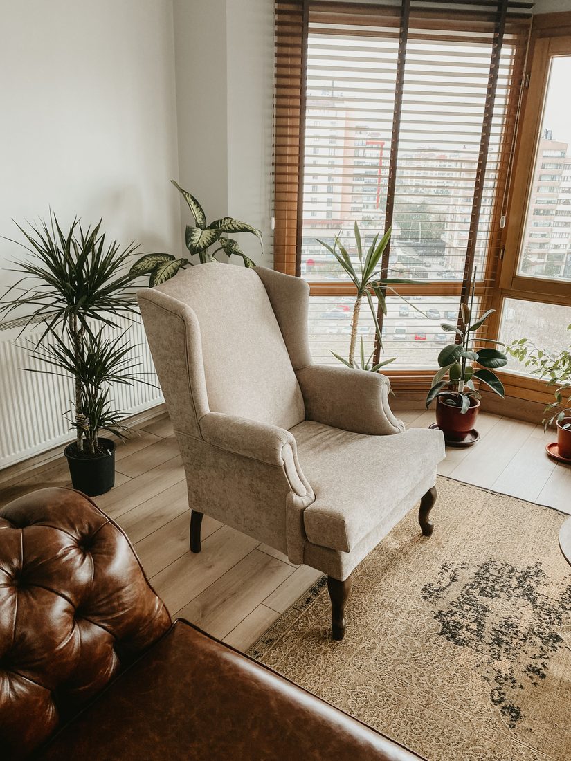 A calm, sunlit room with a comfortable armchair and plants
